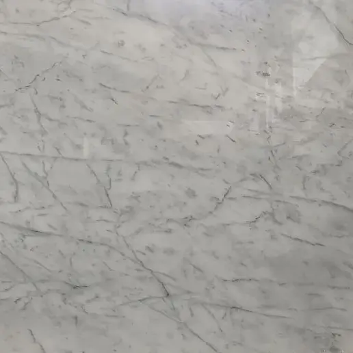 Мрамор Bianco Pastolus