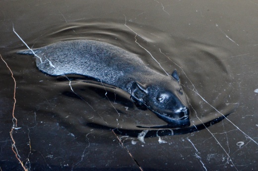 Столешница с подстольем «Водяная Крыса»