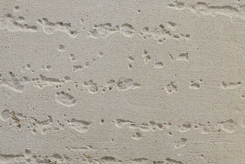 Образец 2. Эфа