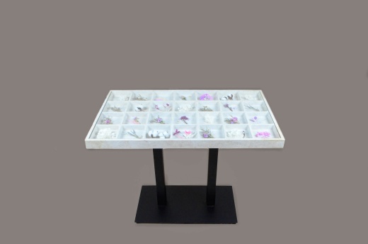 Столешница с подстольем и стеклом «Celle»